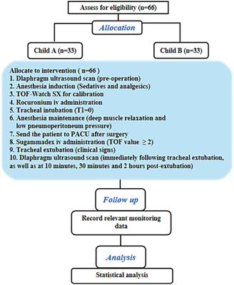 Diaphragm ultrasonography as a monitor in assessing antagonistic effect of sugammadex on <mark class="highlighted">rocuronium</mark> in patients with Child-Pugh grades A and B